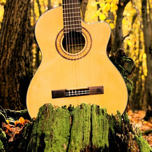 Z〇Z〇女人另类Z〇Z〇豆奶
